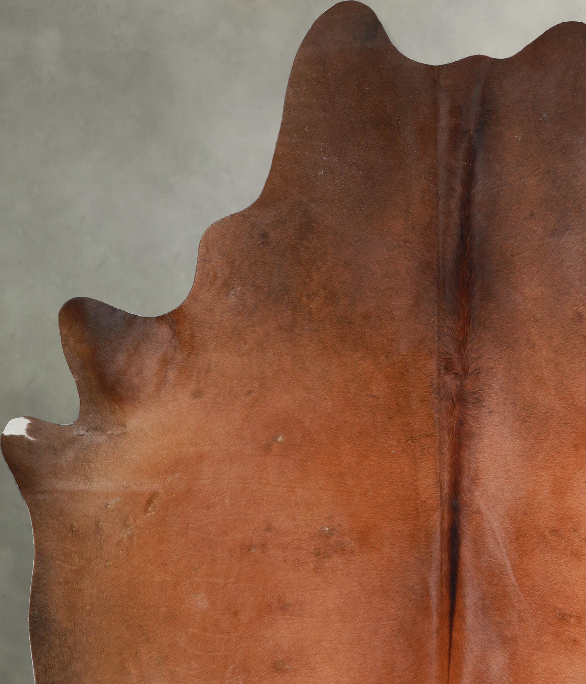 Solid Brown X-Large Brazilian Cowhide Rug 7'0"H x 6'3"W #A53231 by Hudson Hides