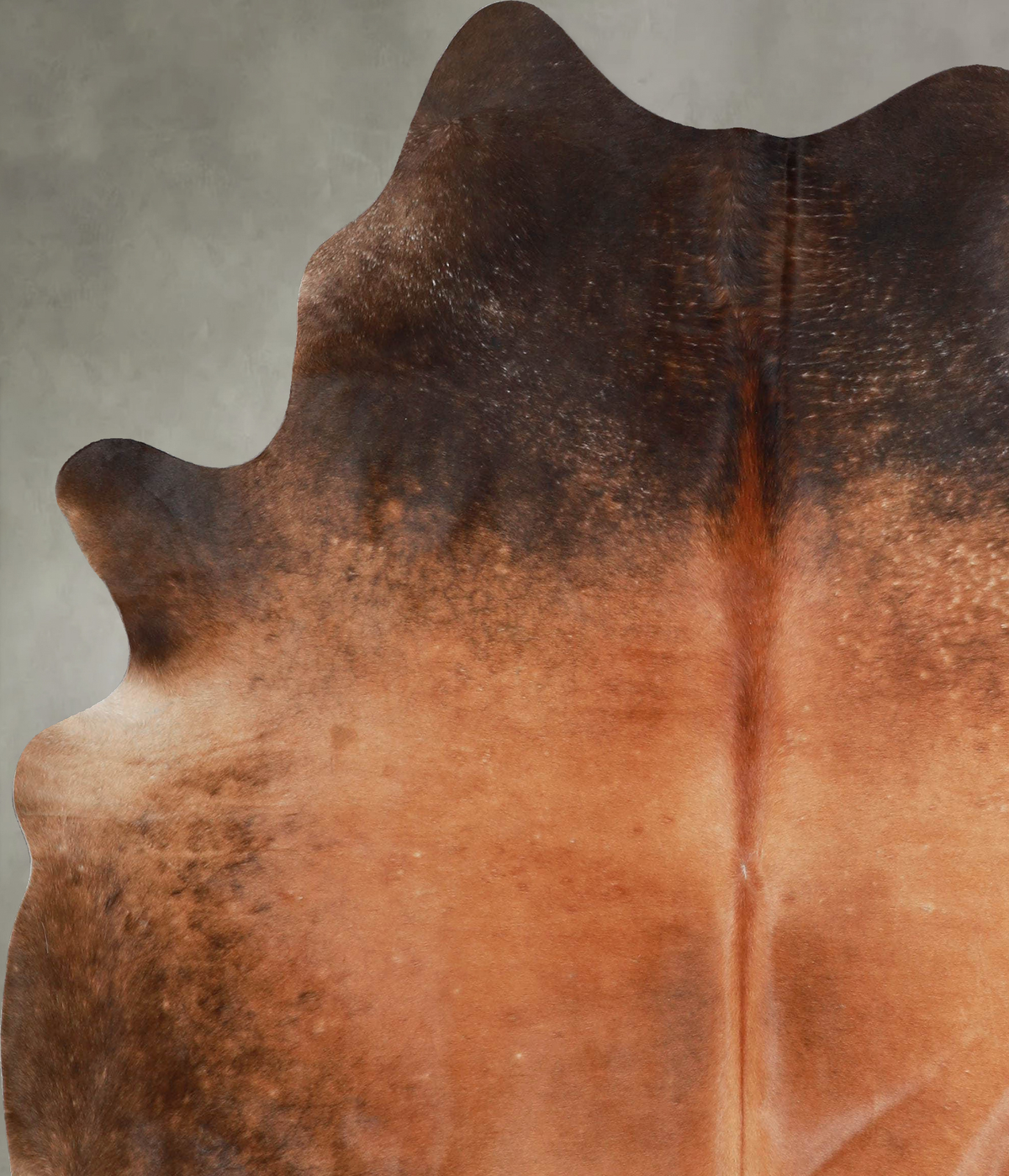 Warm Caramel X-Large Brazilian Cowhide Rug 7'3"H x 6'2"W #A53232 by Hudson Hides