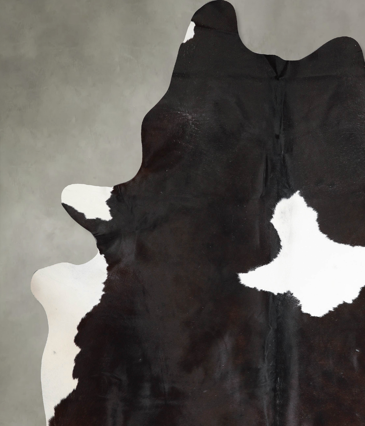 Chocolate and White XX-Large Brazilian Cowhide Rug 8'10"H x 6'10"W #A53236 by Hudson Hides