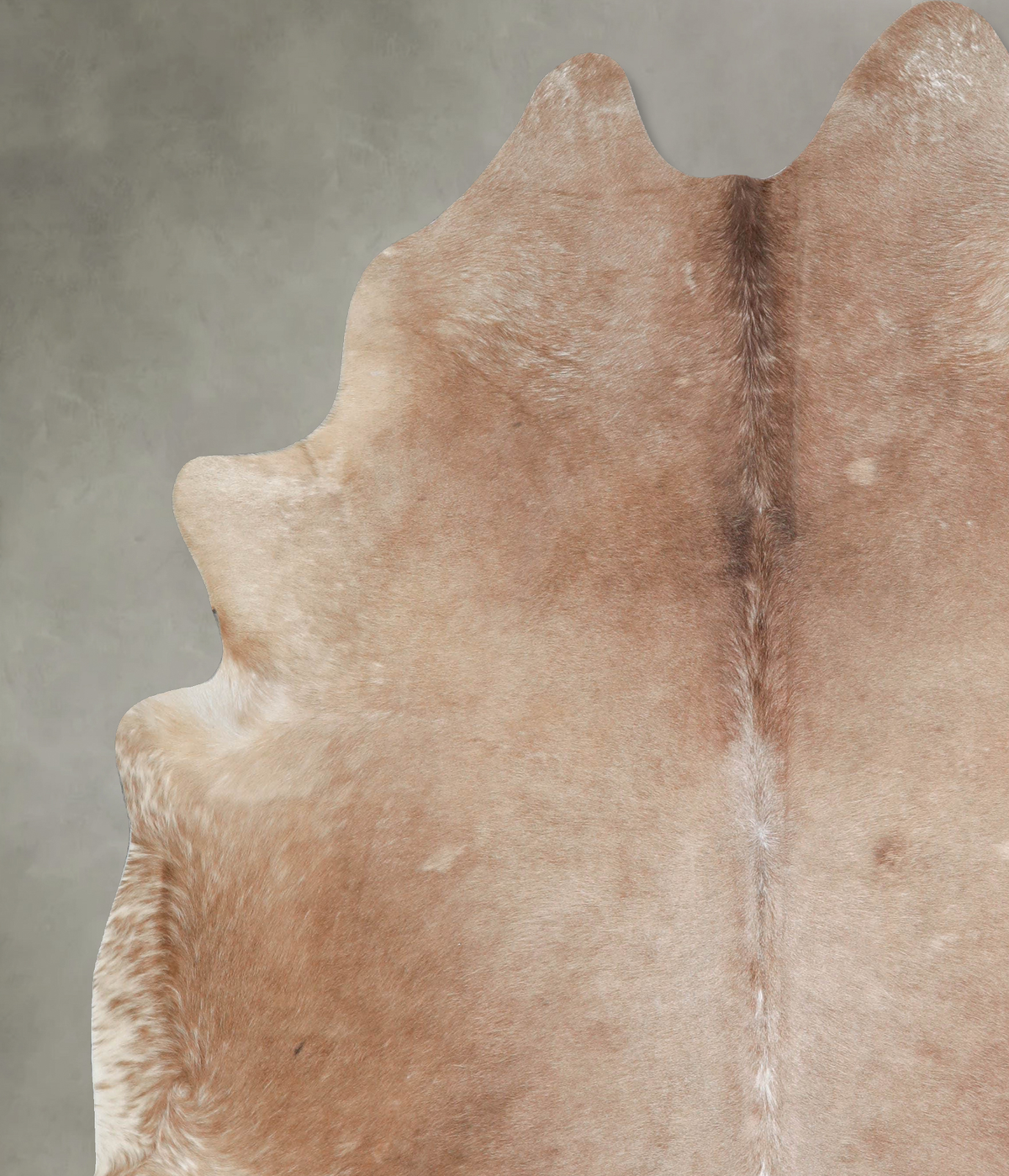 Taupe XX-Large Brazilian Cowhide Rug 8'1"H x 7'2"W #A53239 by Hudson Hides