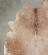 Taupe XX-Large Brazilian Cowhide Rug 8'1"H x 7'2"W #A53239 by Hudson Hides