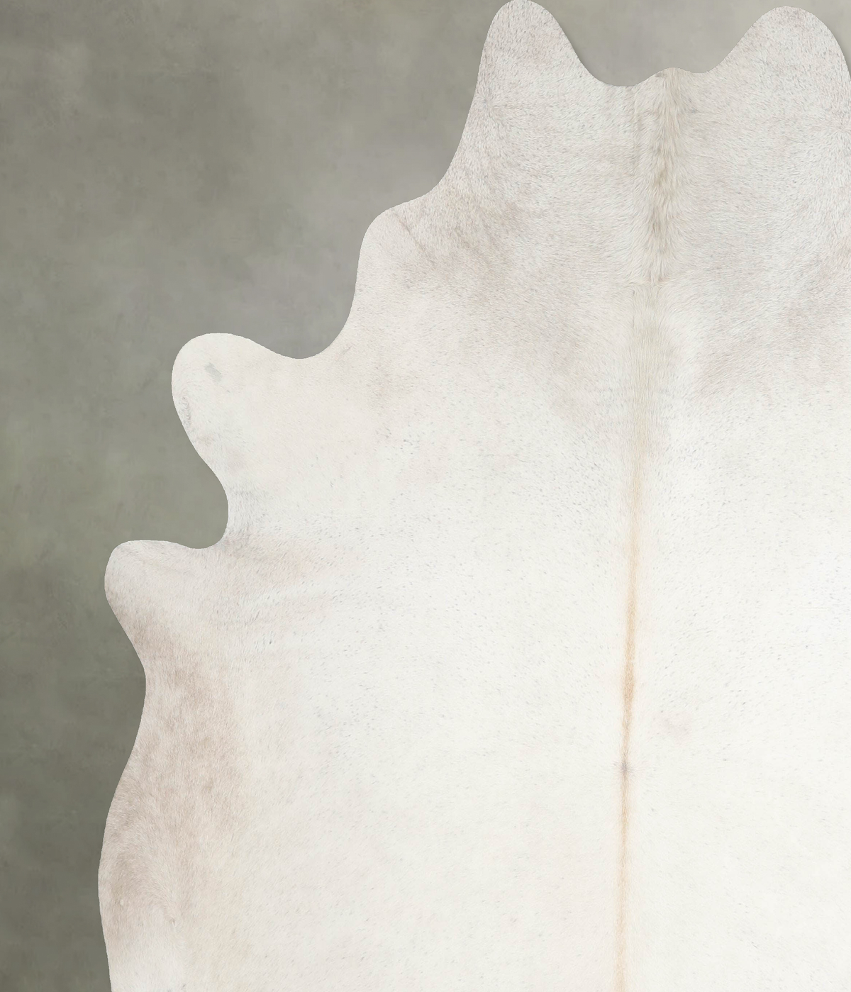 Ivory with Beige XX-Large Brazilian Cowhide Rug 8'0"H x 7'3"W #A53245 by Hudson Hides