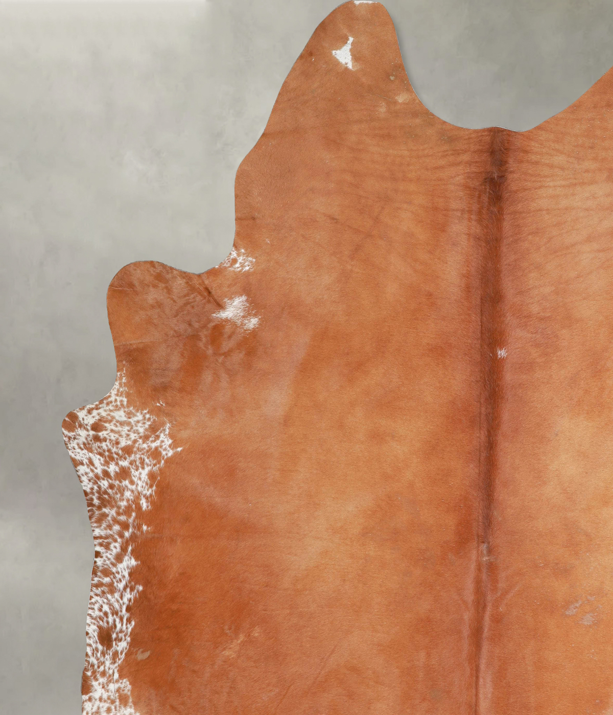 Solid Brown XX-Large Brazilian Cowhide Rug 8'7"H x 7'4"W #A53249 by Hudson Hides