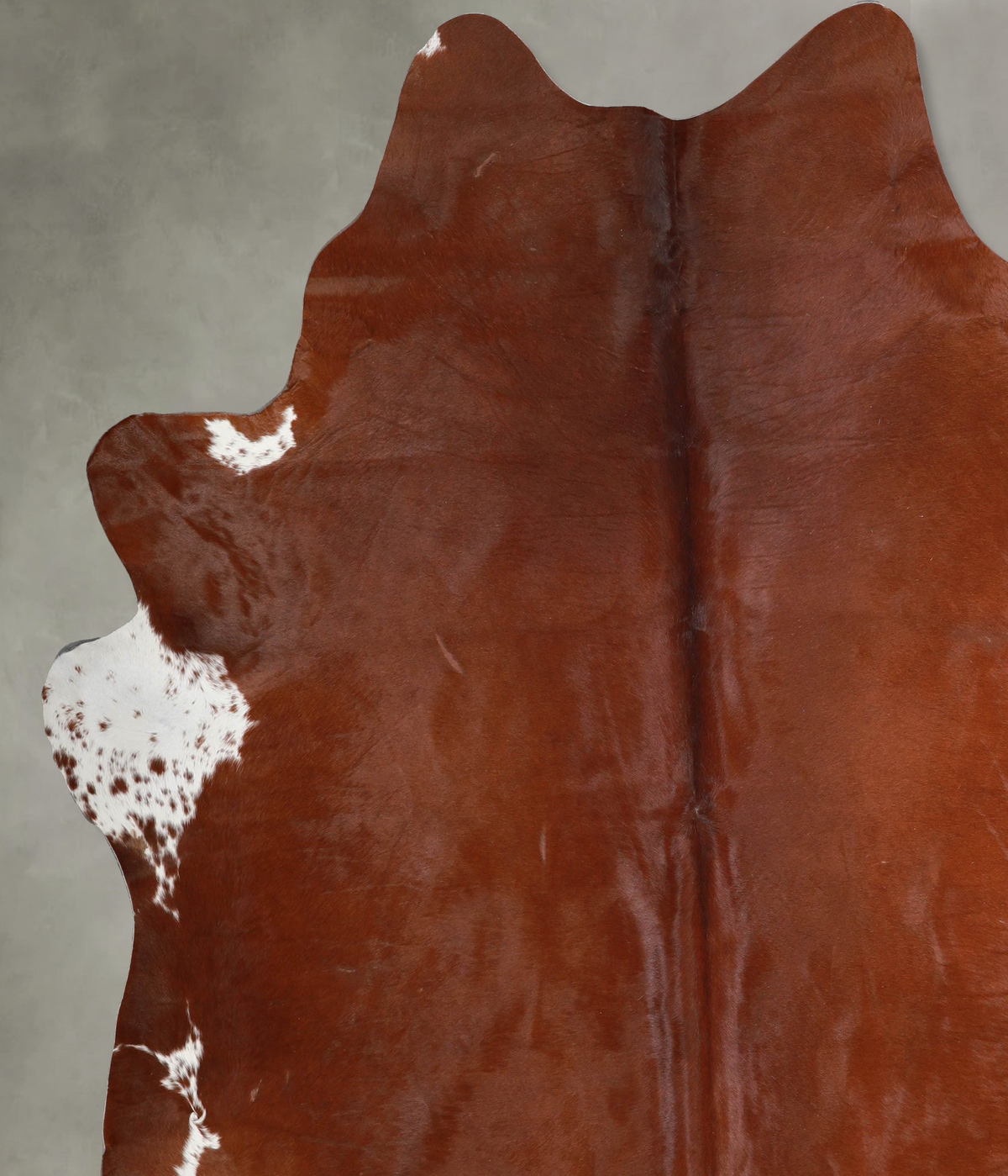 Brown and White Regular XX-Large Brazilian Cowhide Rug 8'5"H x 7'10"W #A53251 by Hudson Hides