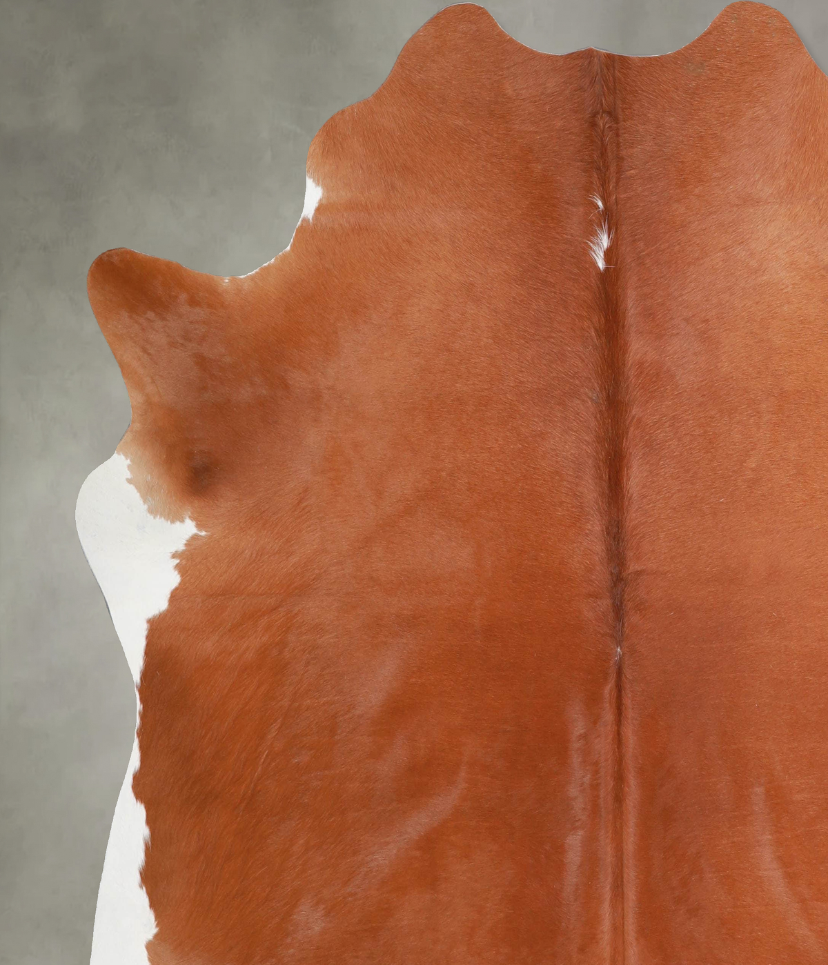 Solid Brown X-Large Brazilian Cowhide Rug 6'9"H x 6'9"W #A53252 by Hudson Hides