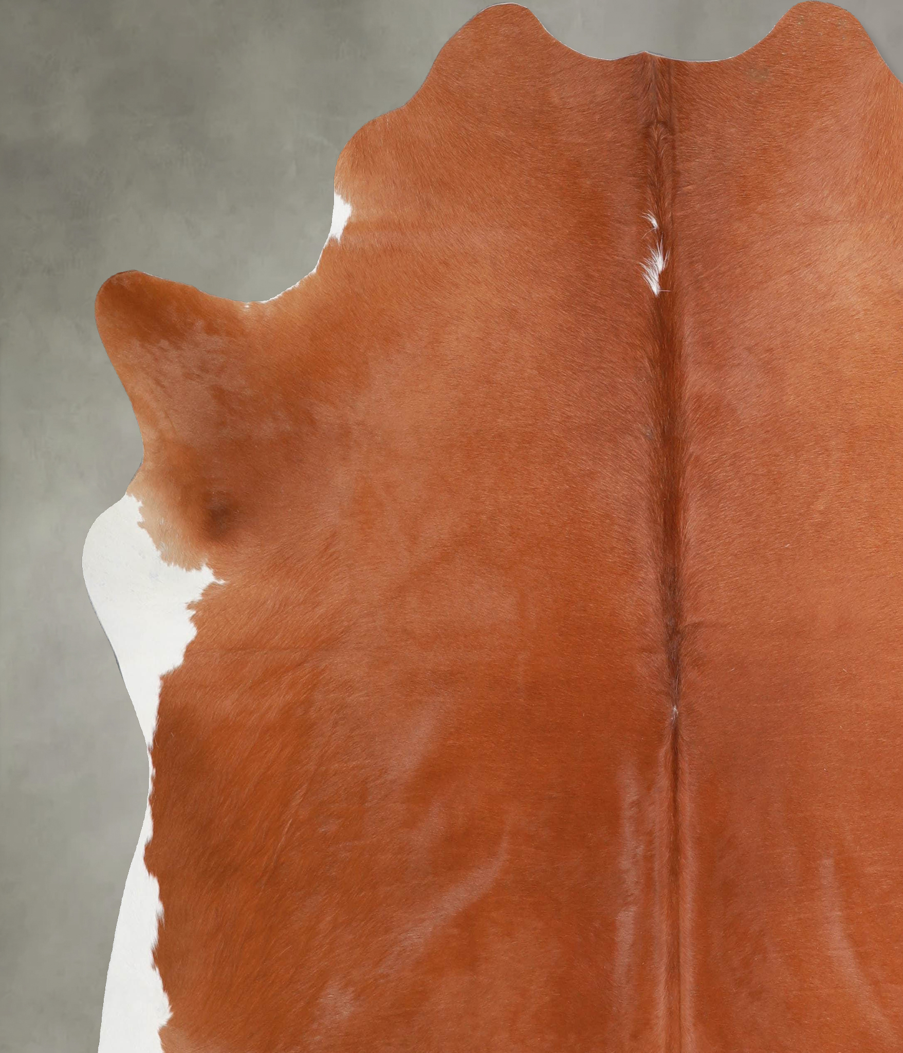 Solid Brown Cowhide Rug #A53252