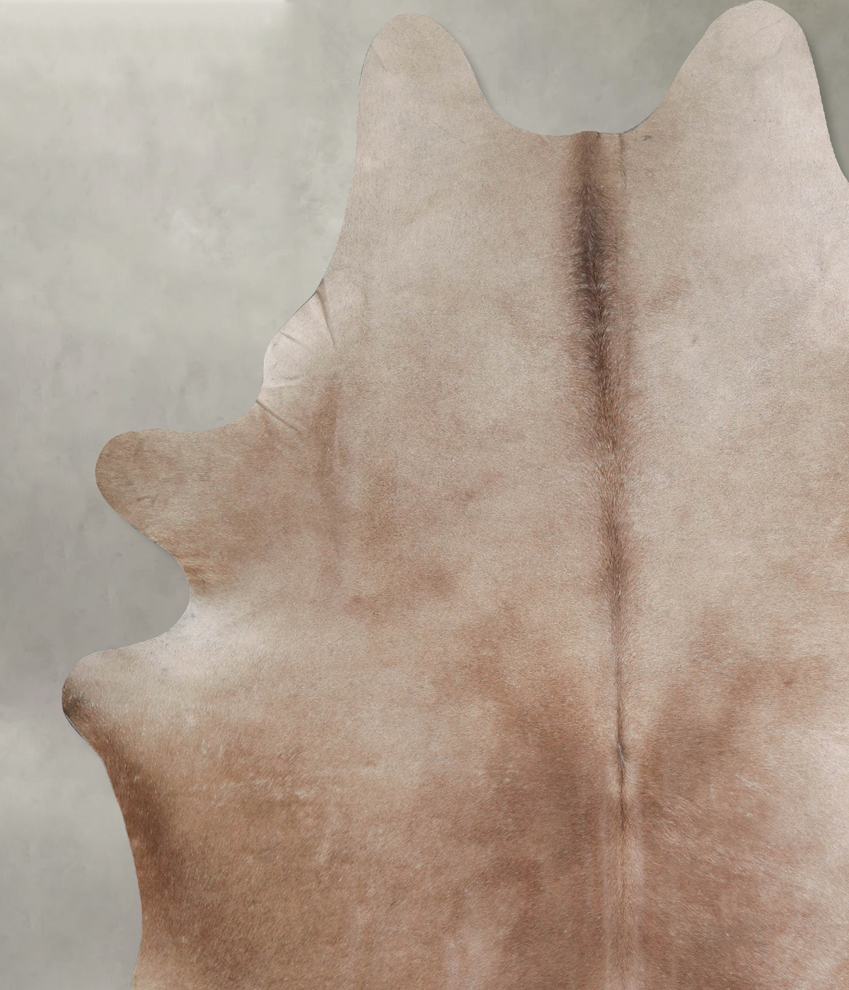 Taupe XX-Large Brazilian Cowhide Rug 8'6"H x 6'9"W #A53254 by Hudson Hides