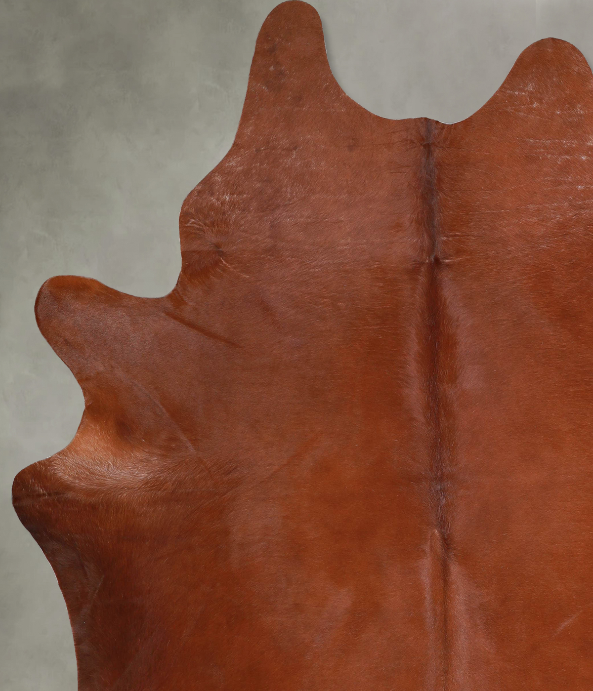 Solid Brown XX-Large Brazilian Cowhide Rug 8'1"H x 6'5"W #A53256 by Hudson Hides