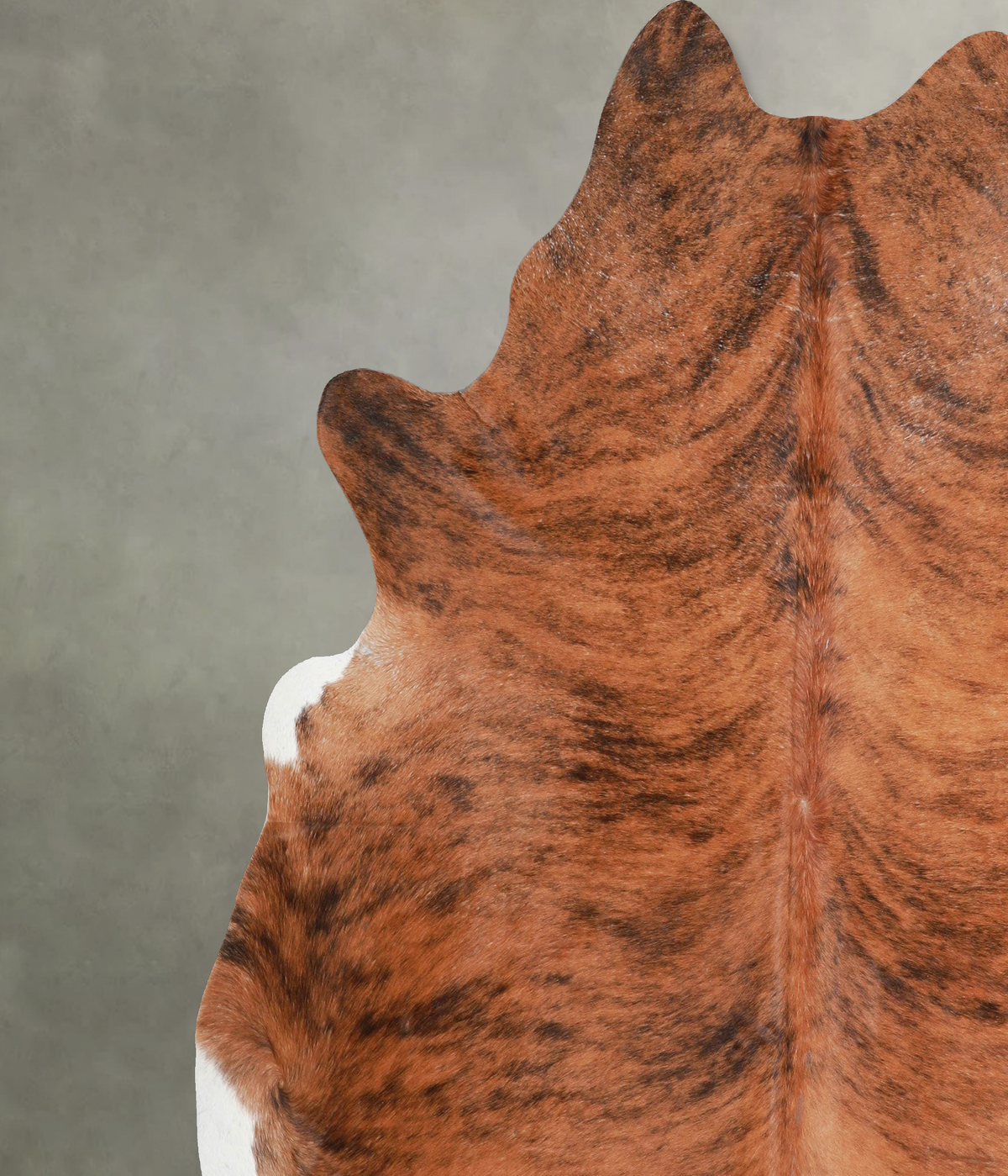 Medium Brindle XX-Large Brazilian Cowhide Rug 7'8"H x 7'9"W #A53260 by Hudson Hides