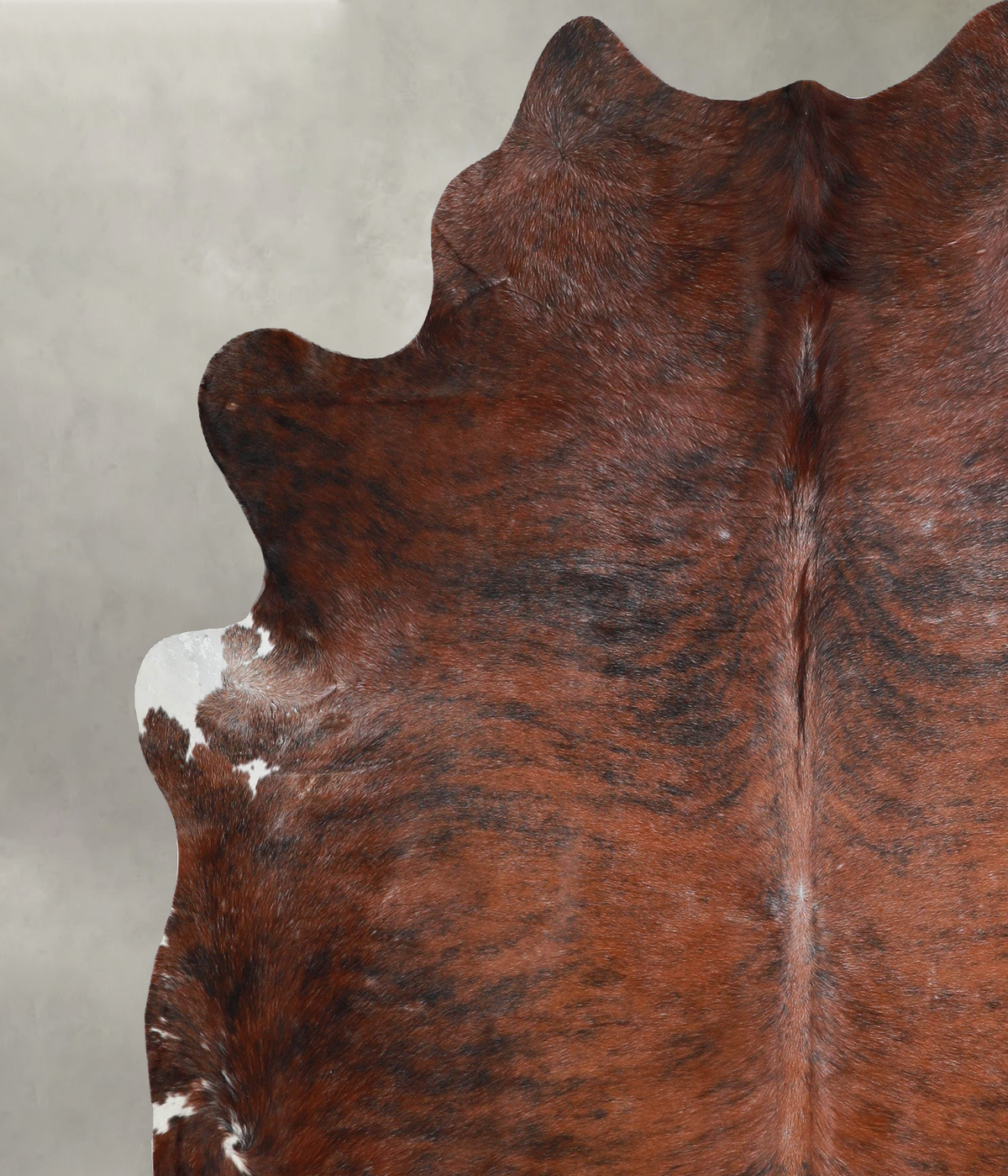 Medium Brindle XX-Large Brazilian Cowhide Rug 7'5"H x 6'10"W #A53261 by Hudson Hides