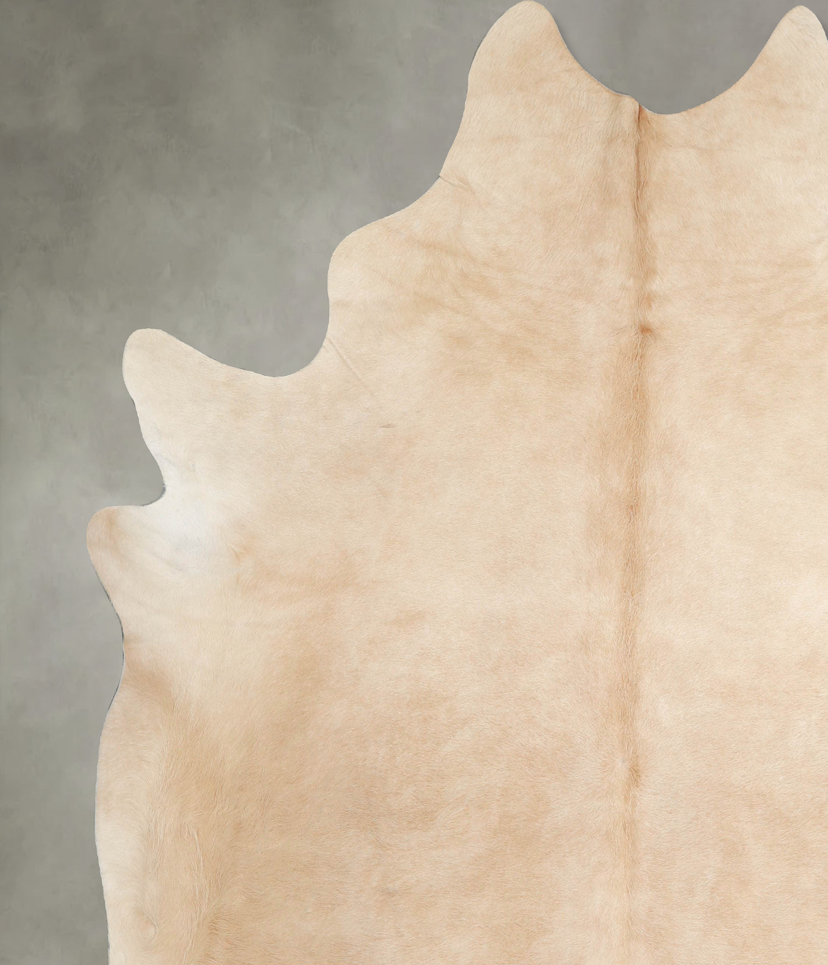 Beige XX-Large Brazilian Cowhide Rug 8'0"H x 6'11"W #A53264 by Hudson Hides