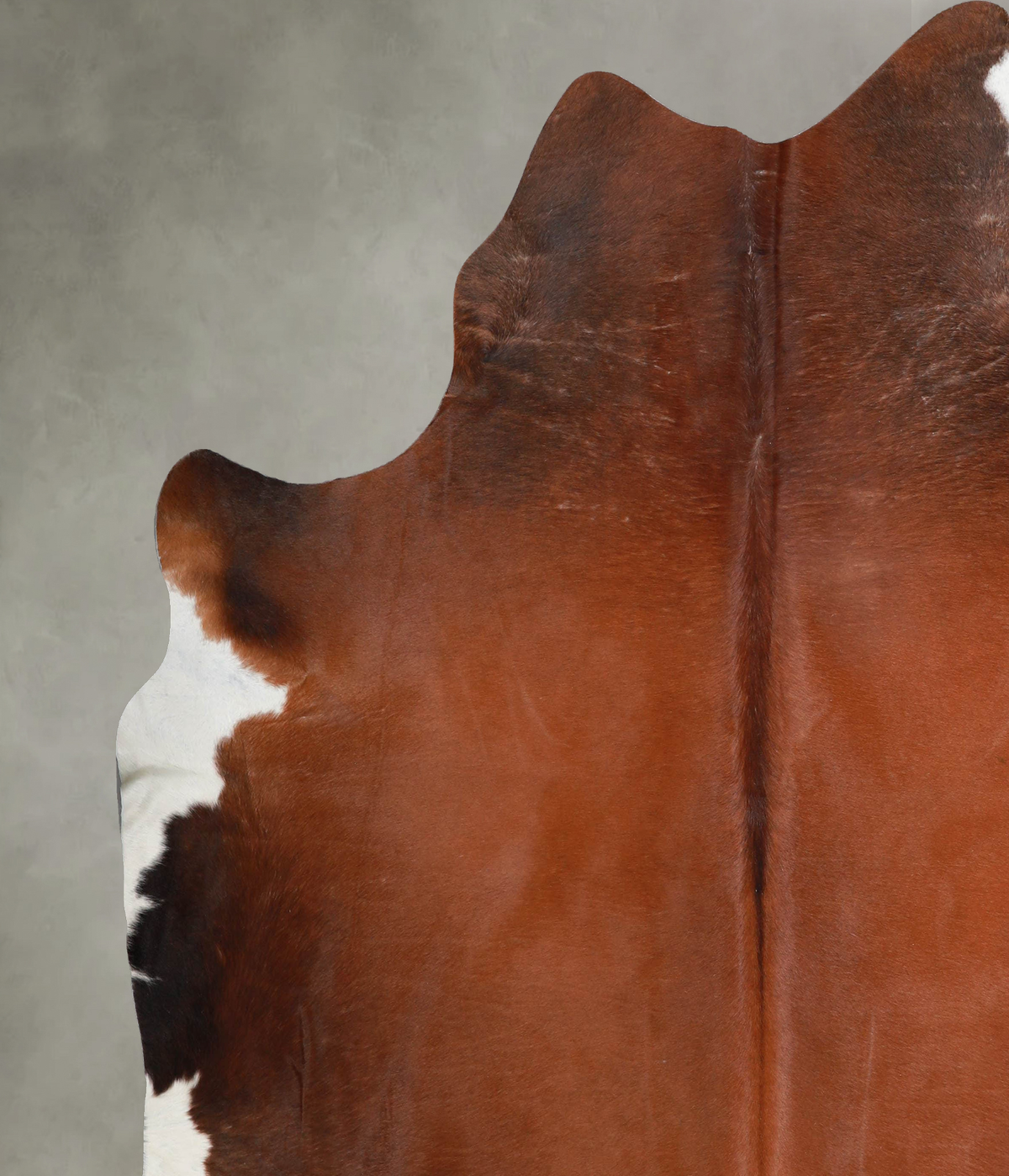 Warm Caramel XX-Large Brazilian Cowhide Rug 7'8"H x 7'4"W #A53266 by Hudson Hides