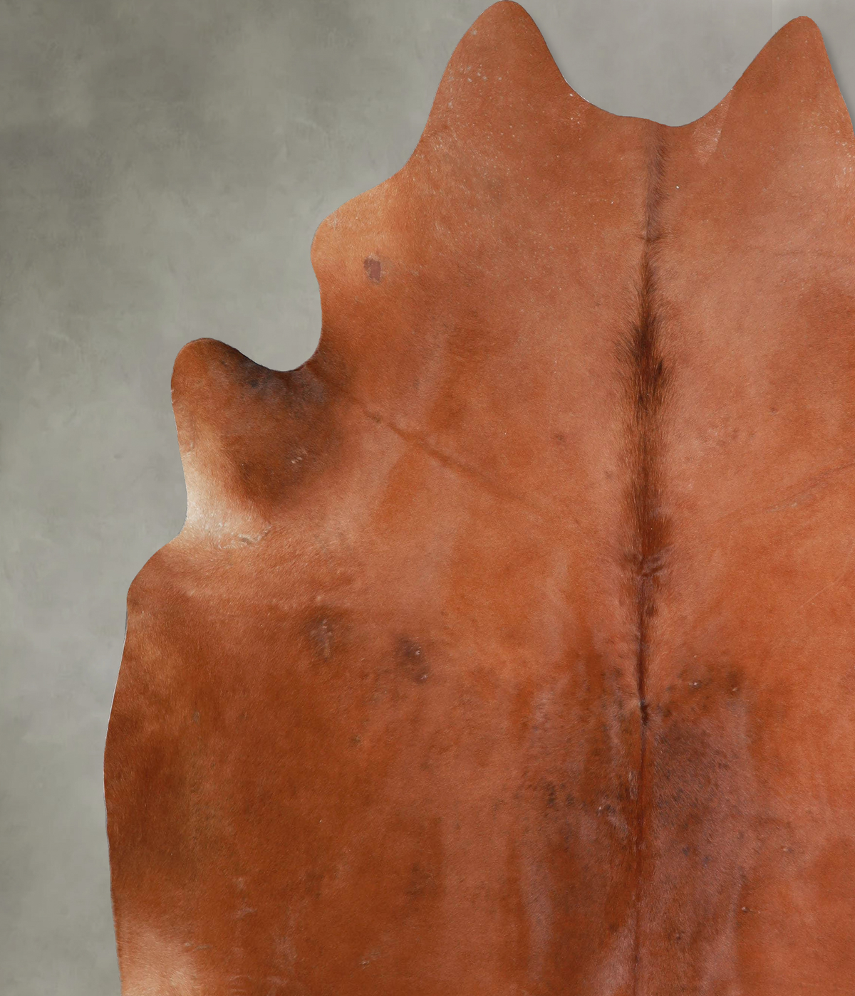 Warm Caramel XX-Large Brazilian Cowhide Rug 7'8"H x 7'1"W #A53273 by Hudson Hides