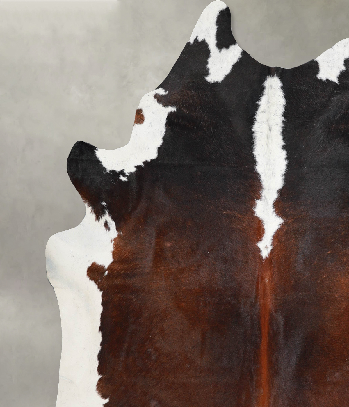 Chocolate and White XX-Large Brazilian Cowhide Rug 7'10"H x 7'4"W #A53274 by Hudson Hides