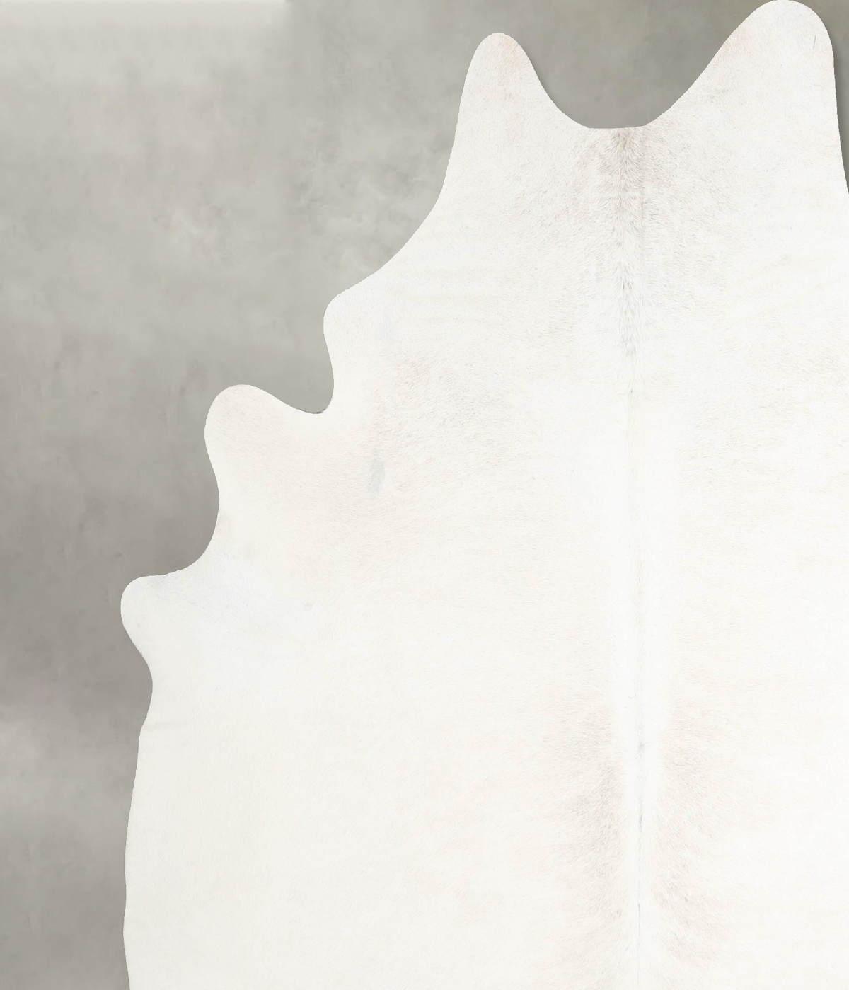 Ivory with Beige XX-Large Brazilian Cowhide Rug 8'0"H x 7'2"W #A53278 by Hudson Hides