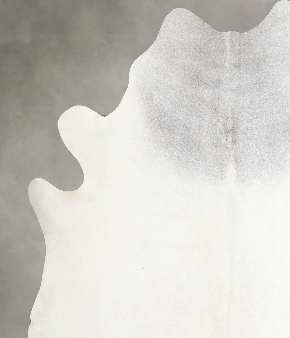 Light Grey XX-Large Brazilian Cowhide Rug 7'9"H x 7'0"W #A53281 by Hudson Hides
