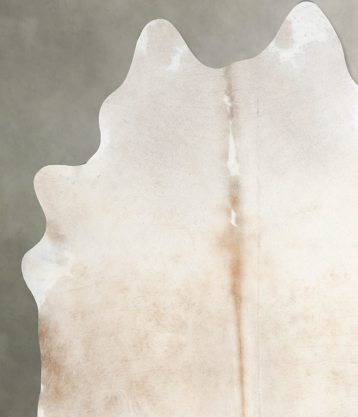 Taupe XX-Large Brazilian Cowhide Rug 8'2"H x 7'4"W #A53283 by Hudson Hides