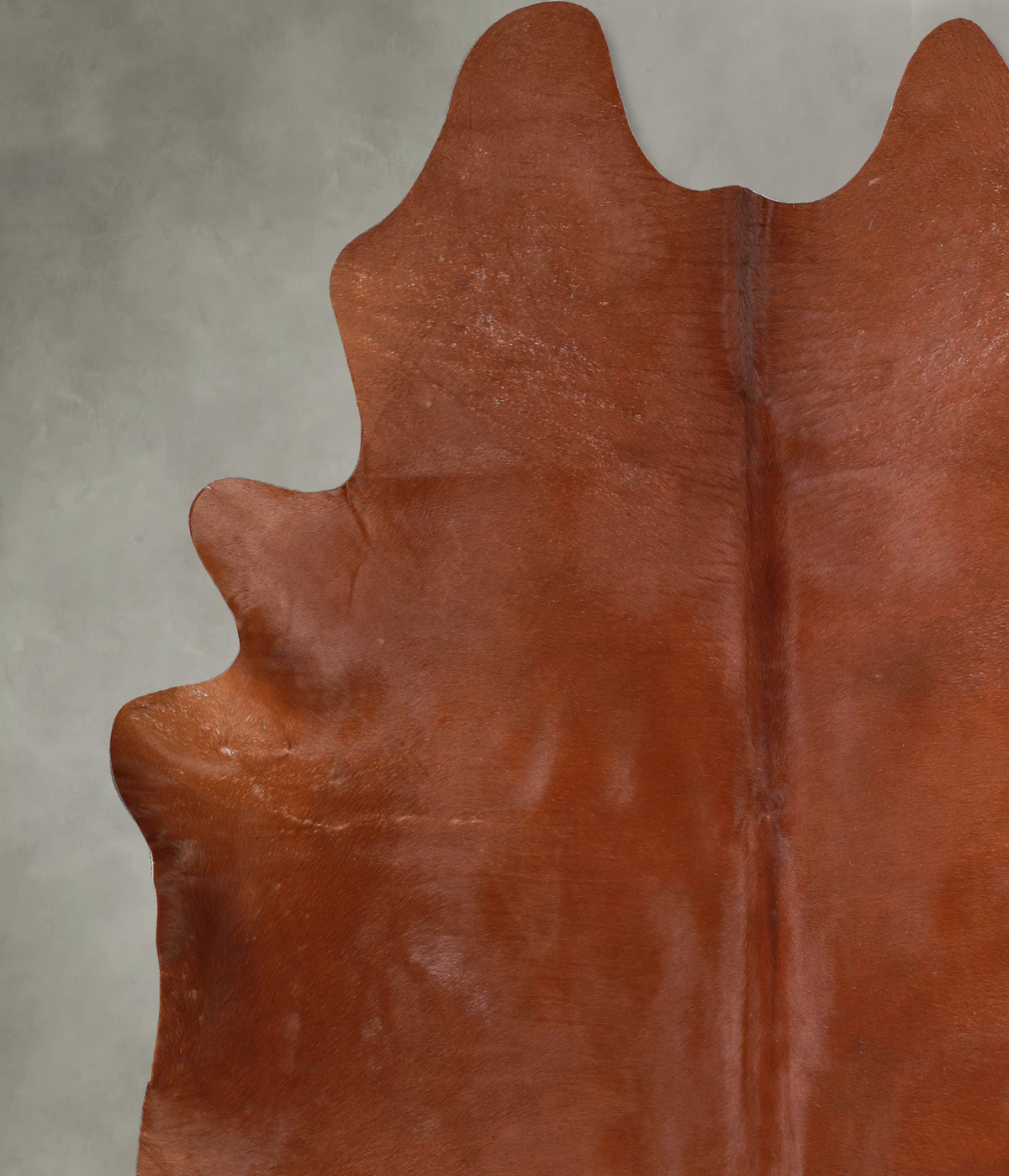 Solid Brown XX-Large Brazilian Cowhide Rug 7'10"H x 7'0"W #A53284 by Hudson Hides