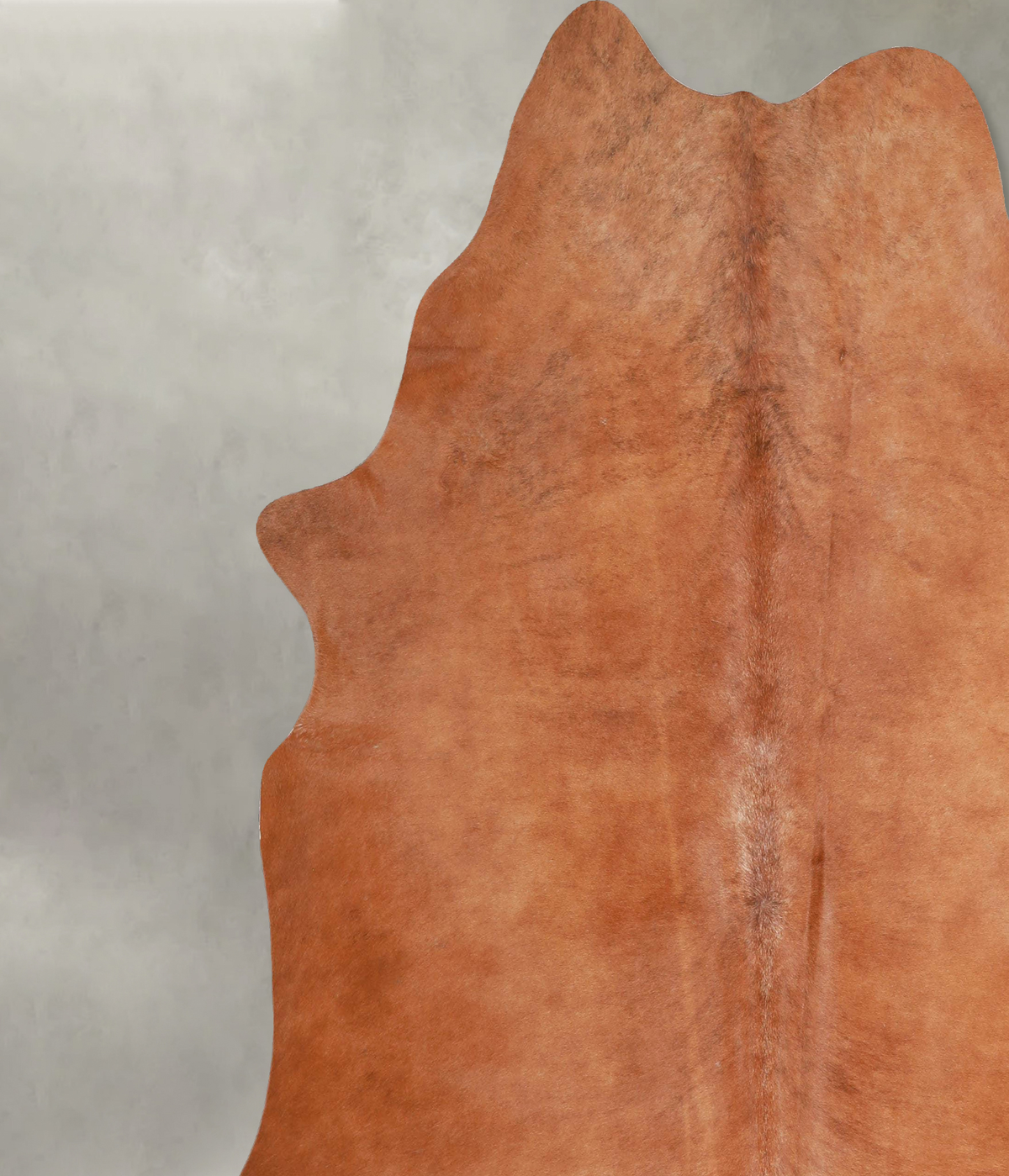 Solid Brown X-Large Brazilian Cowhide Rug 7'3"H x 6'9"W #A53286 by Hudson Hides