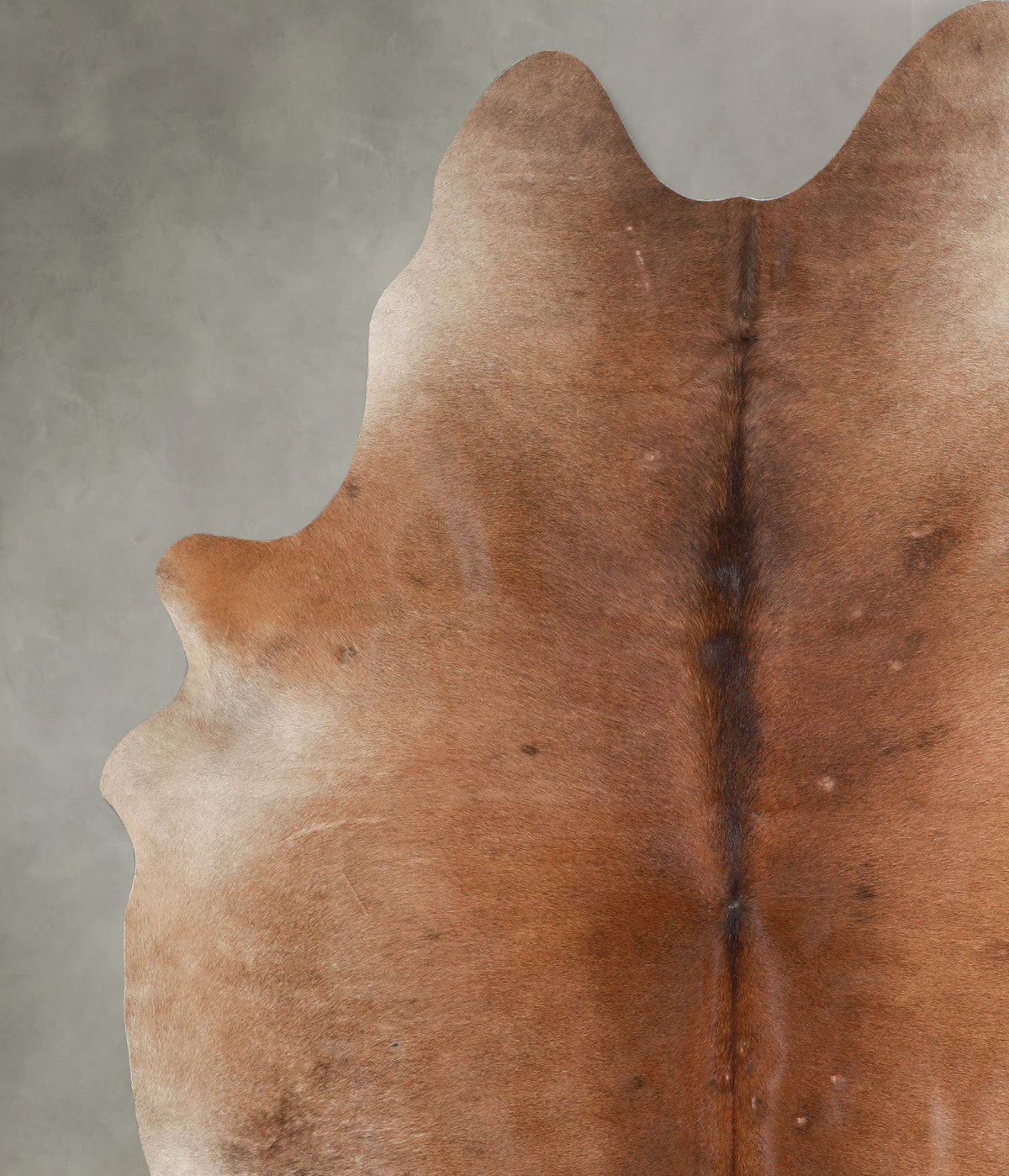 Light Caramel X-Large Brazilian Cowhide Rug 7'6"H x 6'6"W #A53289 by Hudson Hides