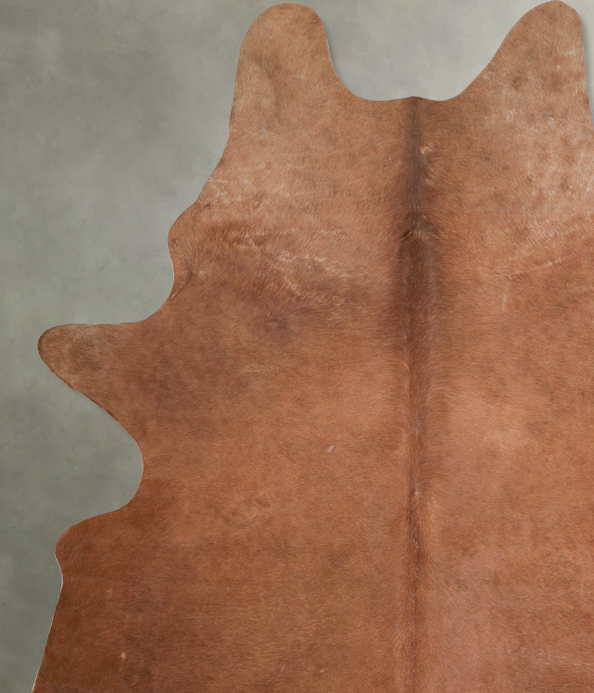 Solid Brown XX-Large Brazilian Cowhide Rug 8'2"H x 6'5"W #A53291 by Hudson Hides