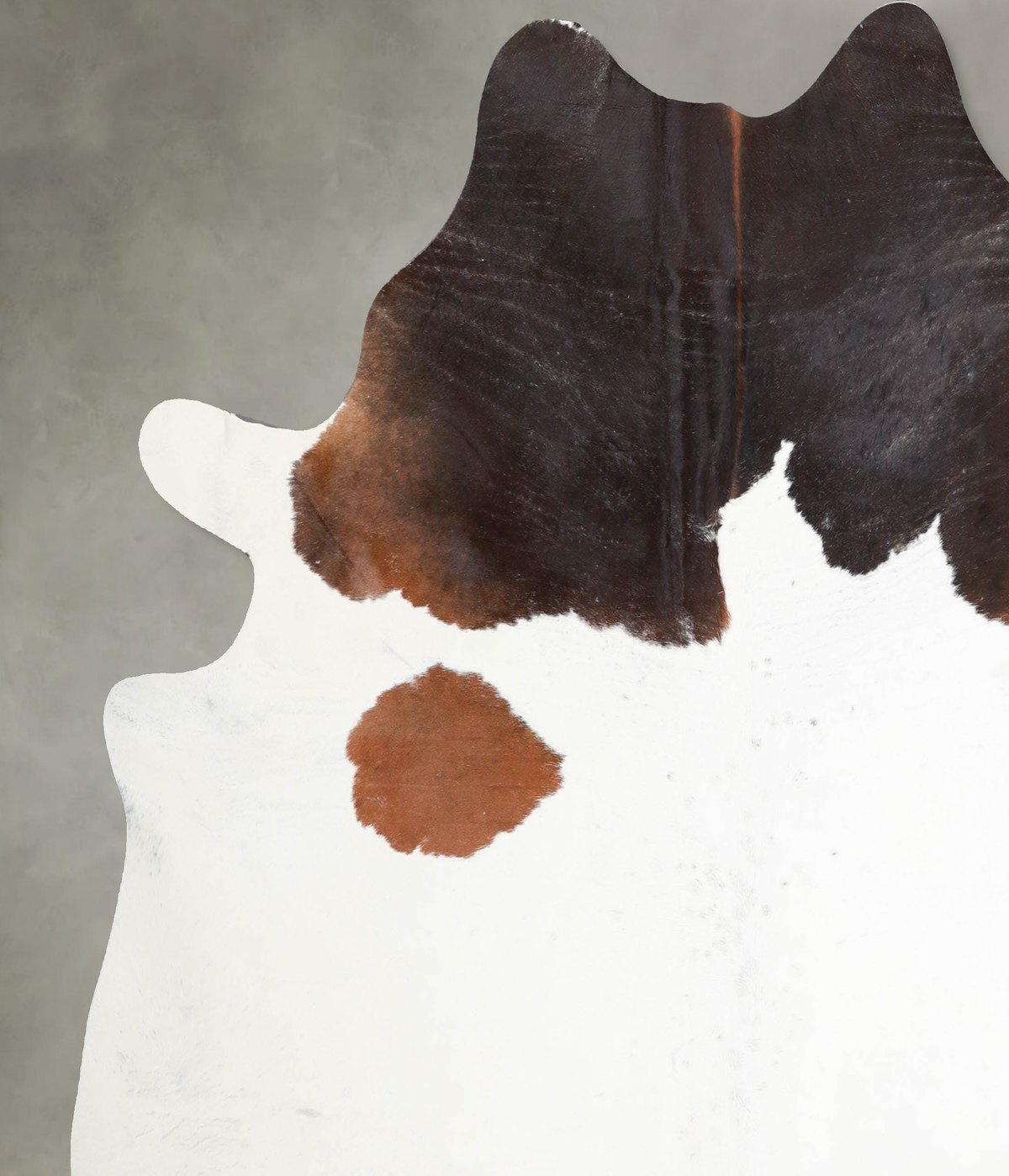 Chocolate and White X-Large Brazilian Cowhide Rug 7'0"H x 6'10"W #A53292 by Hudson Hides