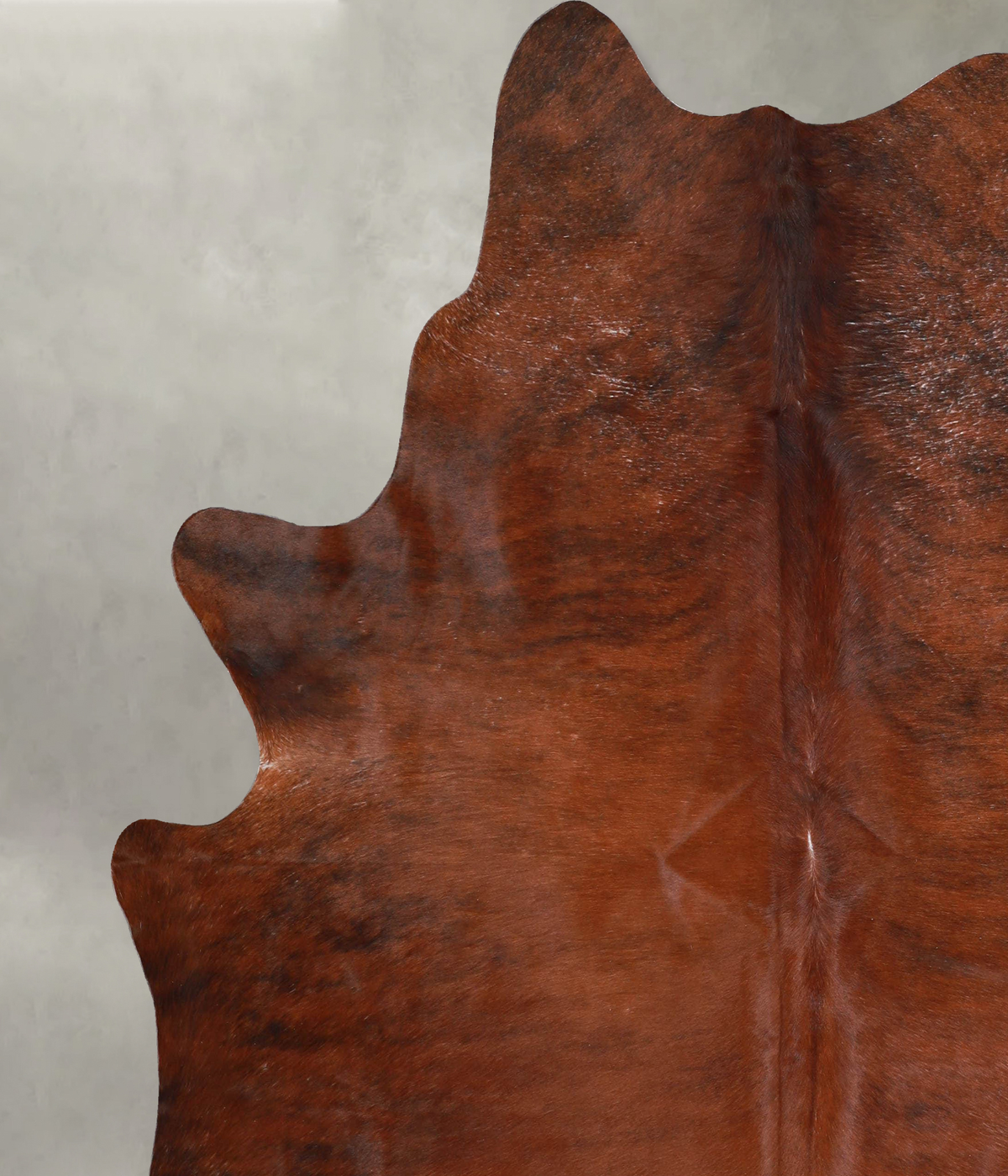 Medium Brindle XX-Large Brazilian Cowhide Rug 7'5"H x 6'9"W #A53293 by Hudson Hides