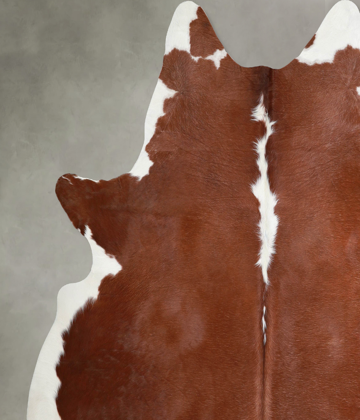 Hereford XX-Large Brazilian Cowhide Rug 7'9"H x 7'4"W #A53296 by Hudson Hides