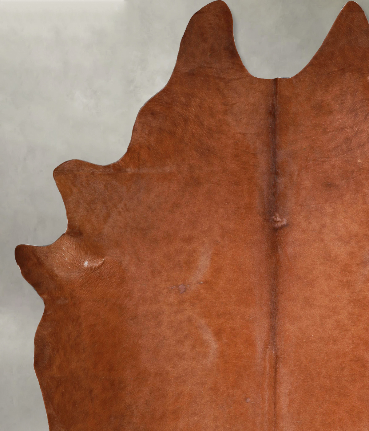 Solid Brown XX-Large Brazilian Cowhide Rug 8'5"H x 7'2"W #A53297 by Hudson Hides