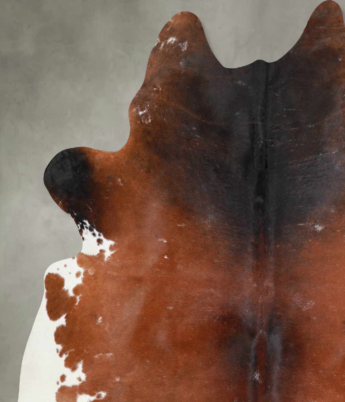 Warm Caramel XX-Large Brazilian Cowhide Rug 7'9"H x 6'6"W #A53302 by Hudson Hides