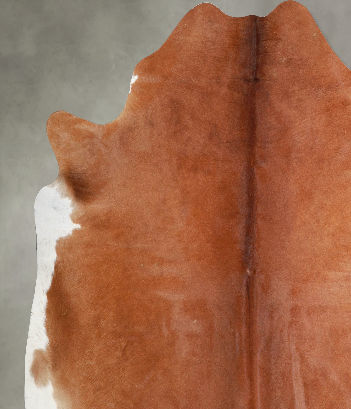 Solid Brown X-Large Brazilian Cowhide Rug 7'3"H x 6'10"W #A53310 by Hudson Hides