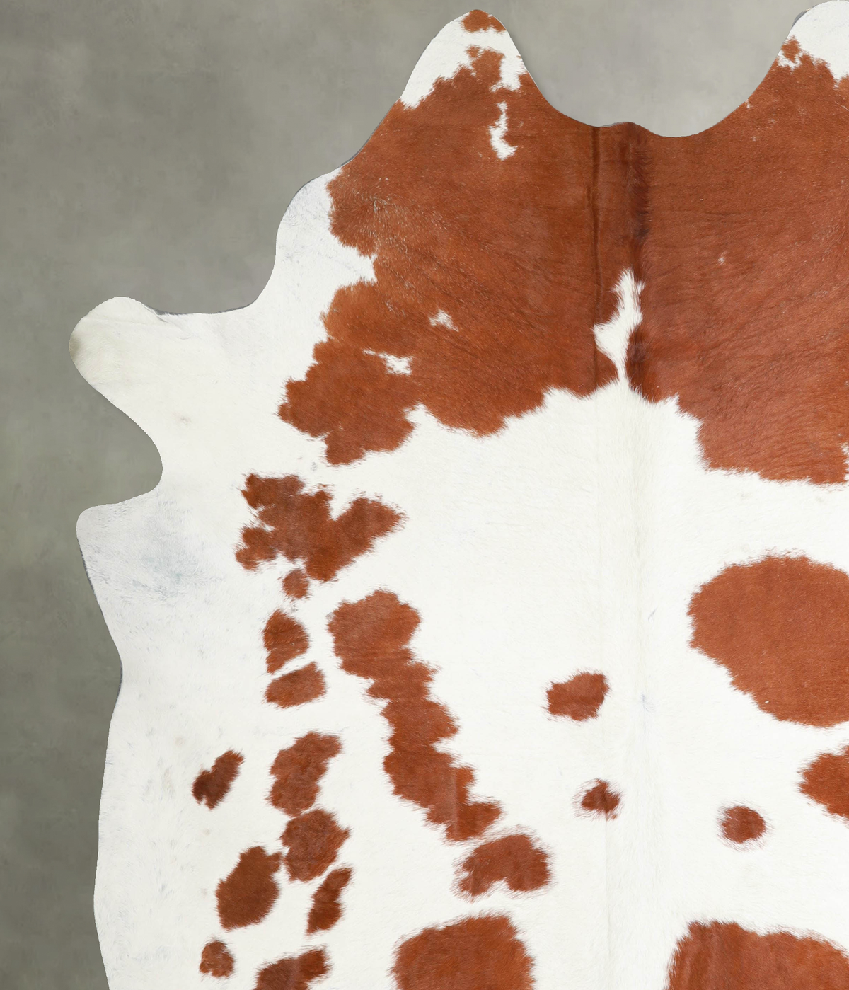 Brown and White XX-Large Brazilian Cowhide Rug 8'6"H x 7'6"W #A53313 by Hudson Hides