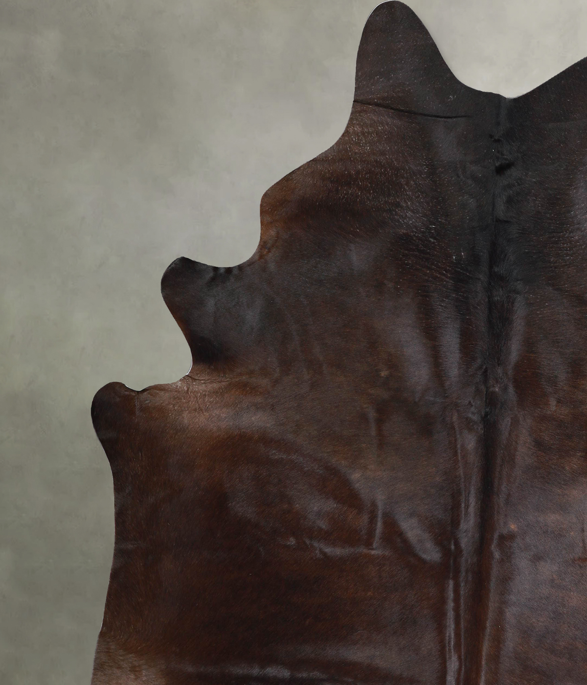 Chocolate XX-Large Brazilian Cowhide Rug 7'7"H x 6'8"W #A53314 by Hudson Hides
