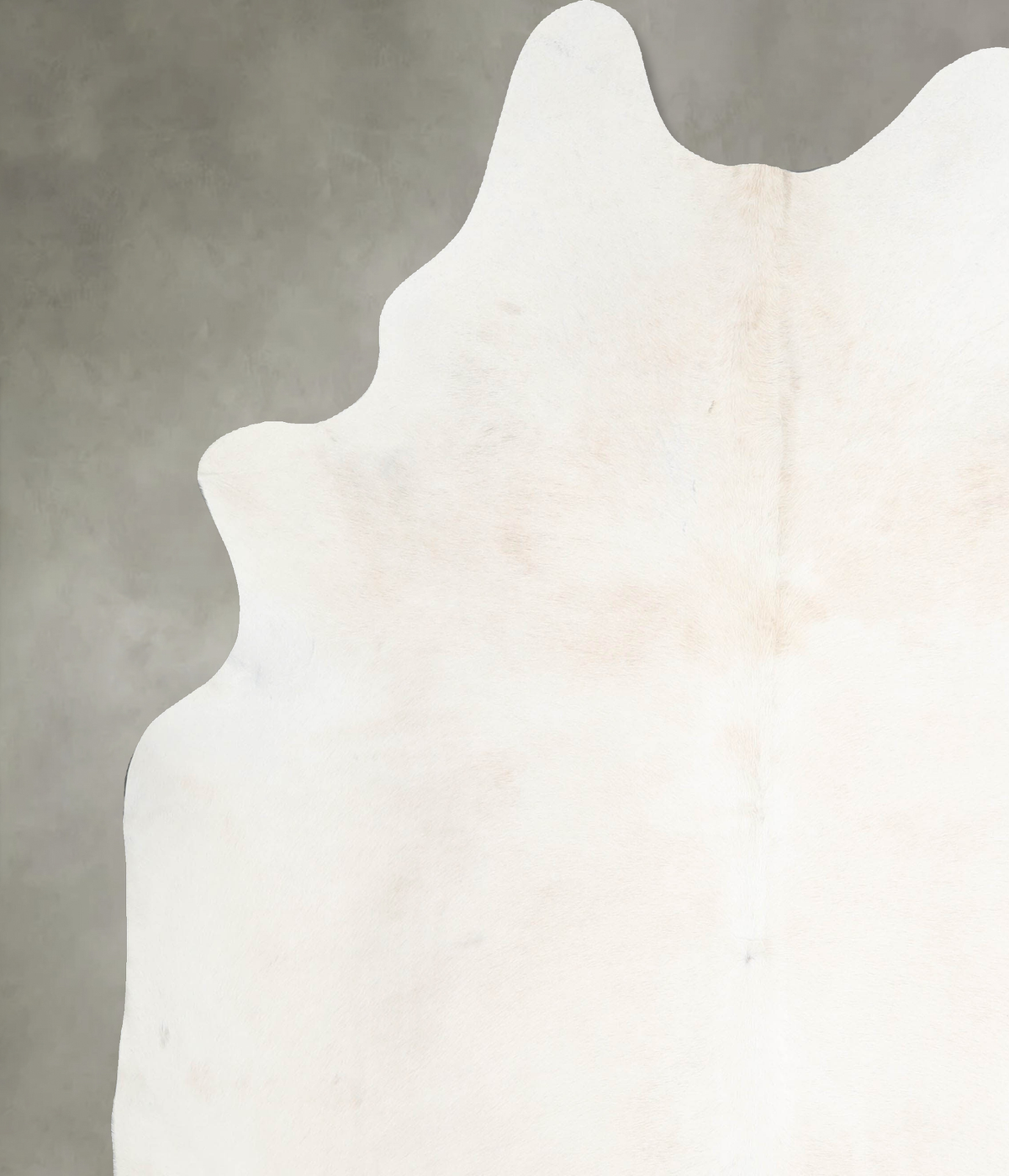 Solid White XX-Large Brazilian Cowhide Rug 7'11"H x 7'0"W #A53322 by Hudson Hides