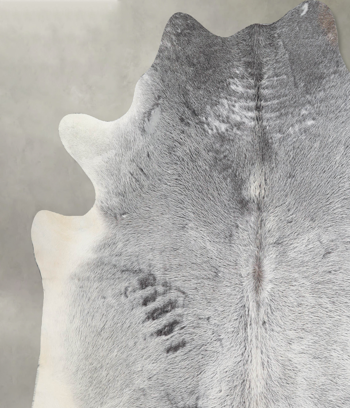 Medium Grey XX-Large Brazilian Cowhide Rug 7'3"H x 6'11"W #A53323 by Hudson Hides