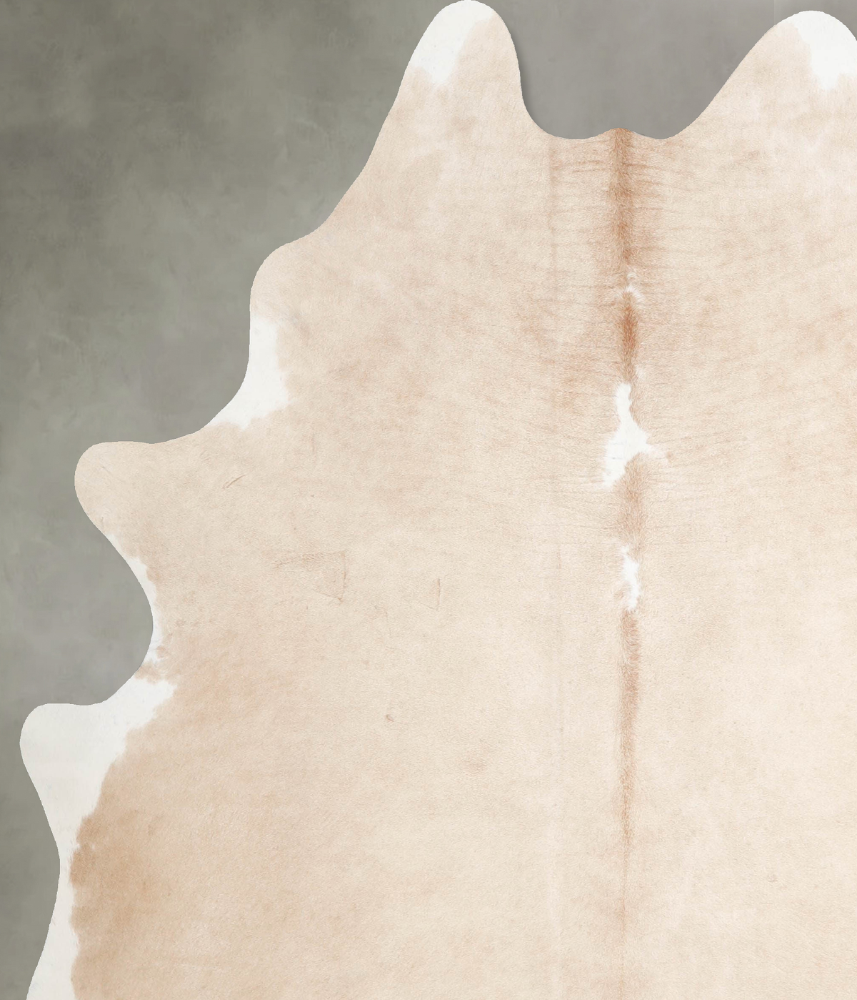 Palomino X-Large Brazilian Cowhide Rug 7'5"H x 6'3"W #A53325 by Hudson Hides
