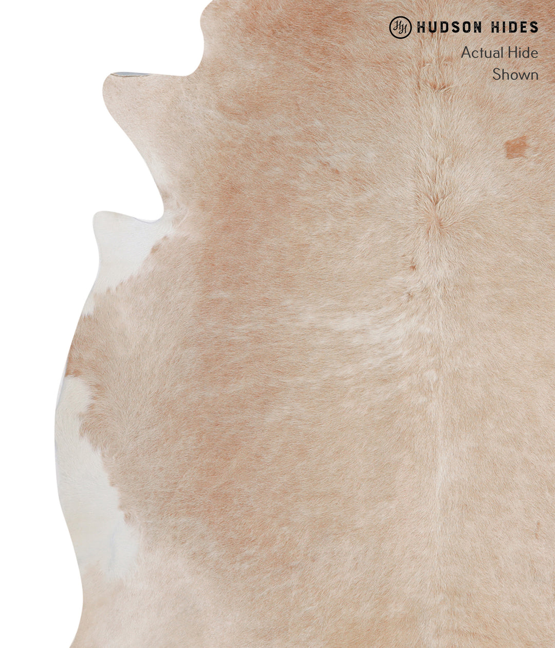Beige XX-Large Brazilian Cowhide Rug 8'3"H x 7'6"W #A5333 by Hudson Hi