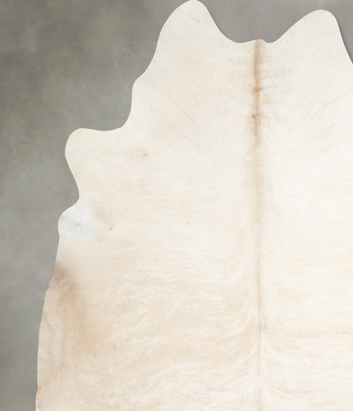 Palomino XX-Large Brazilian Cowhide Rug 8'1"H x 7'11"W #A53338 by Hudson Hides
