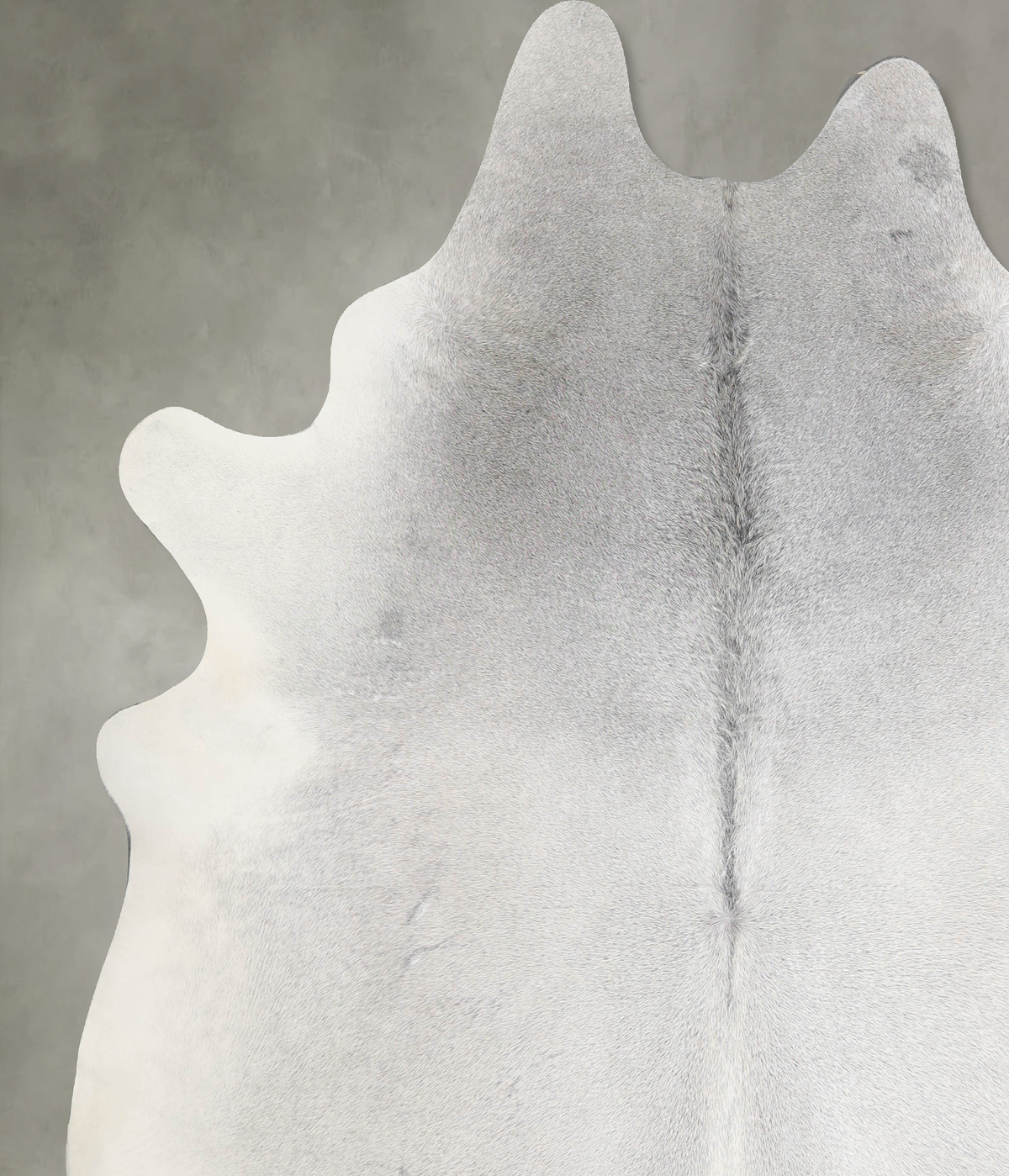 Light Grey XX-Large Brazilian Cowhide Rug 8'9"H x 7'6"W #A53345 by Hudson Hides