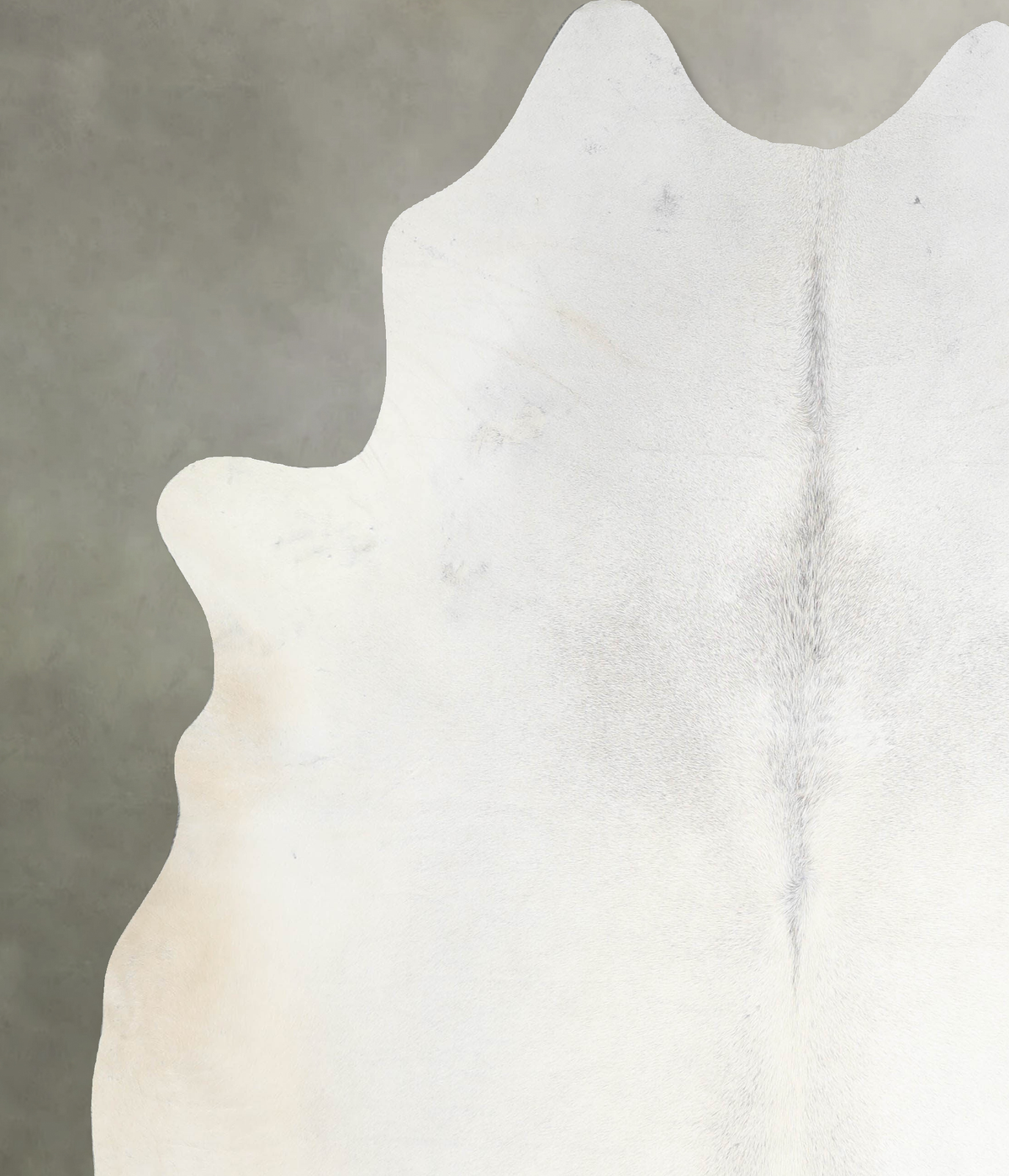 Light Grey XX-Large Brazilian Cowhide Rug 7'5"H x 6'10"W #A53346 by Hudson Hides