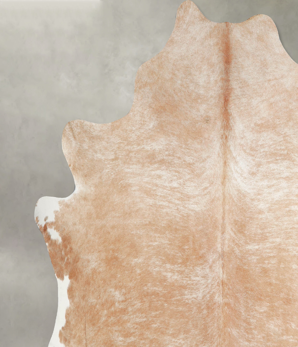Palomino X-Large Brazilian Cowhide Rug 7'5"H x 6'9"W #A53350 by Hudson Hides