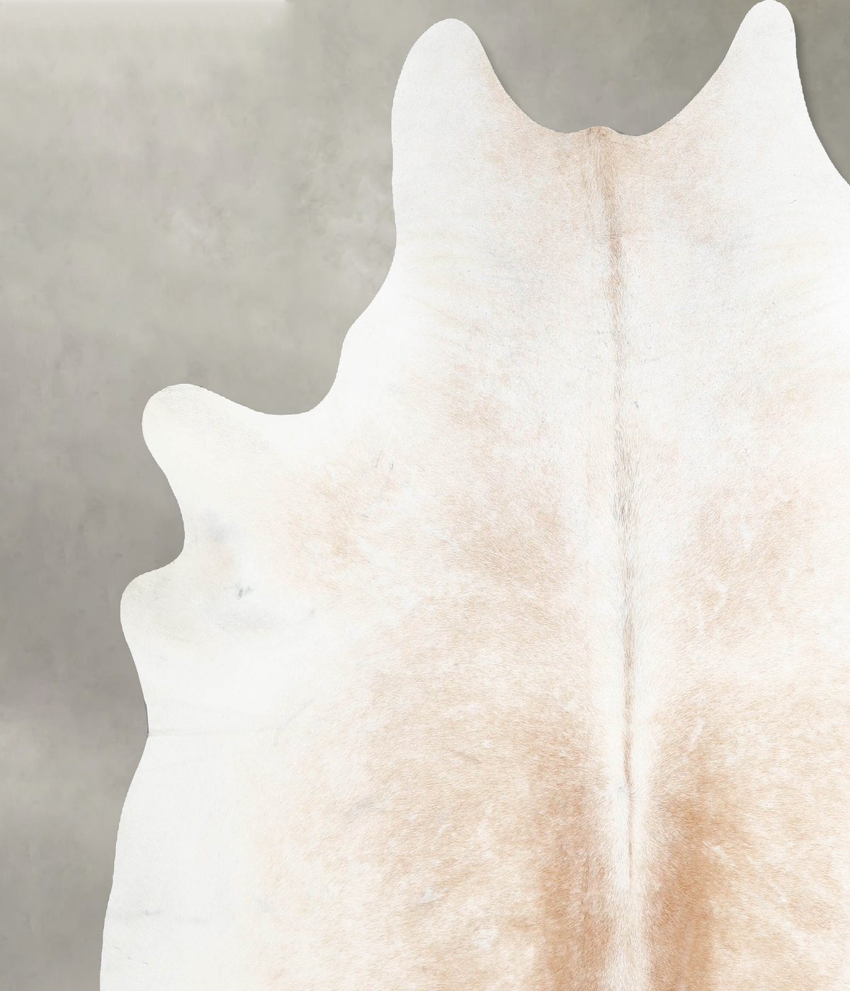 Grey with Beige XX-Large Brazilian Cowhide Rug 7'9"H x 7'1"W #A53353 by Hudson Hides