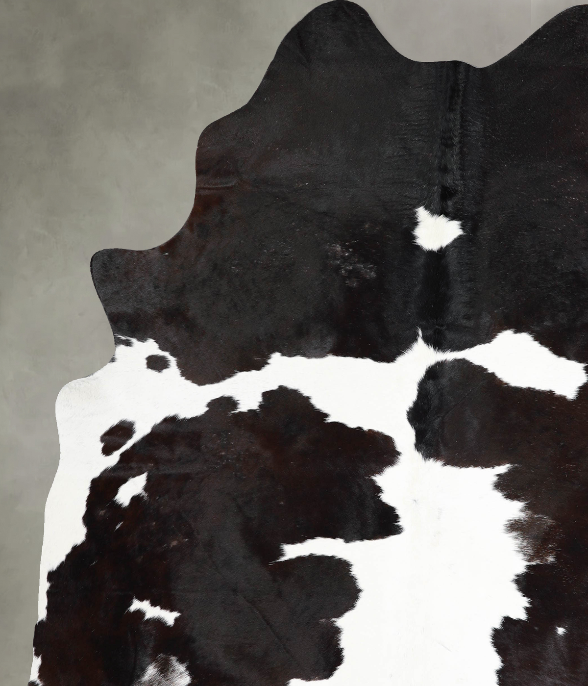 Chocolate and White XX-Large Brazilian Cowhide Rug 8'1"H x 6'6"W #A53356 by Hudson Hides