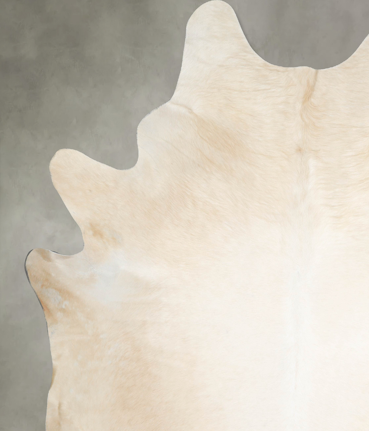 Palomino XX-Large Brazilian Cowhide Rug 8'9"H x 6'11"W #A53363 by Hudson Hides