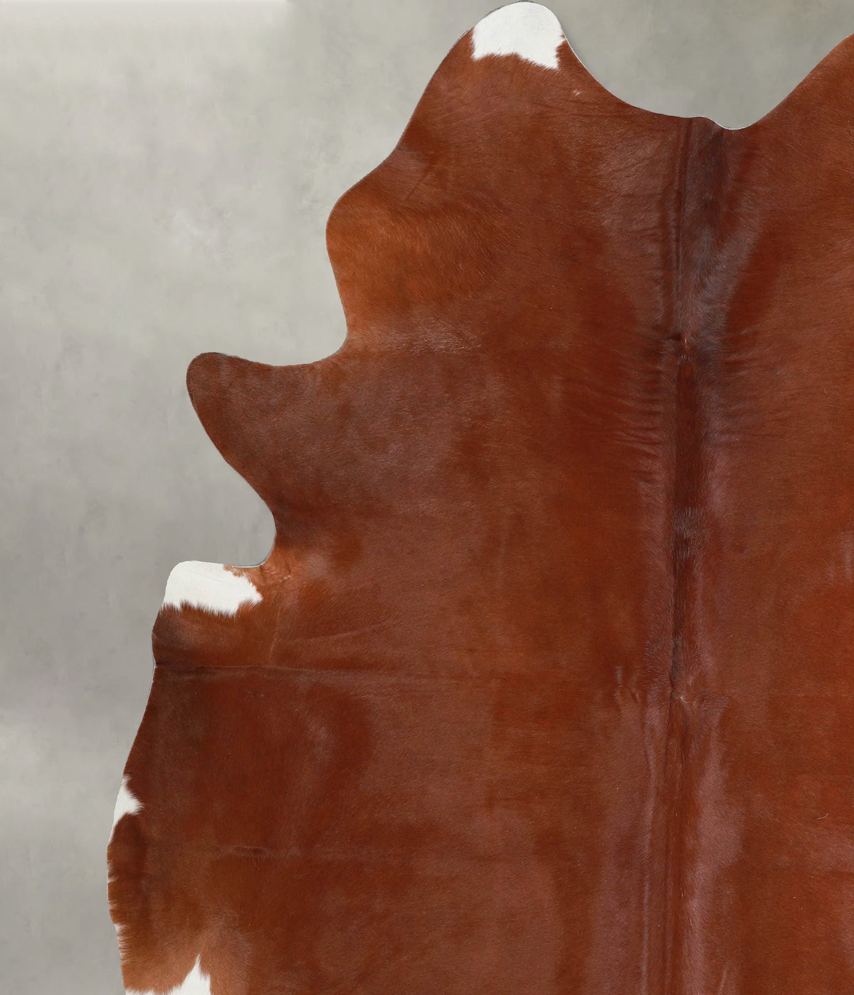 Solid Brown XX-Large Brazilian Cowhide Rug 7'4"H x 7'0"W #A53365 by Hudson Hides