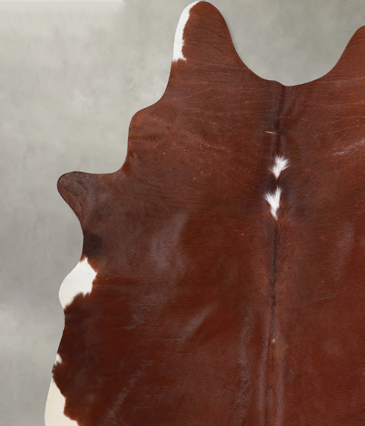 Solid Brown X-Large Brazilian Cowhide Rug 7'5"H x 6'3"W #A53368 by Hudson Hides