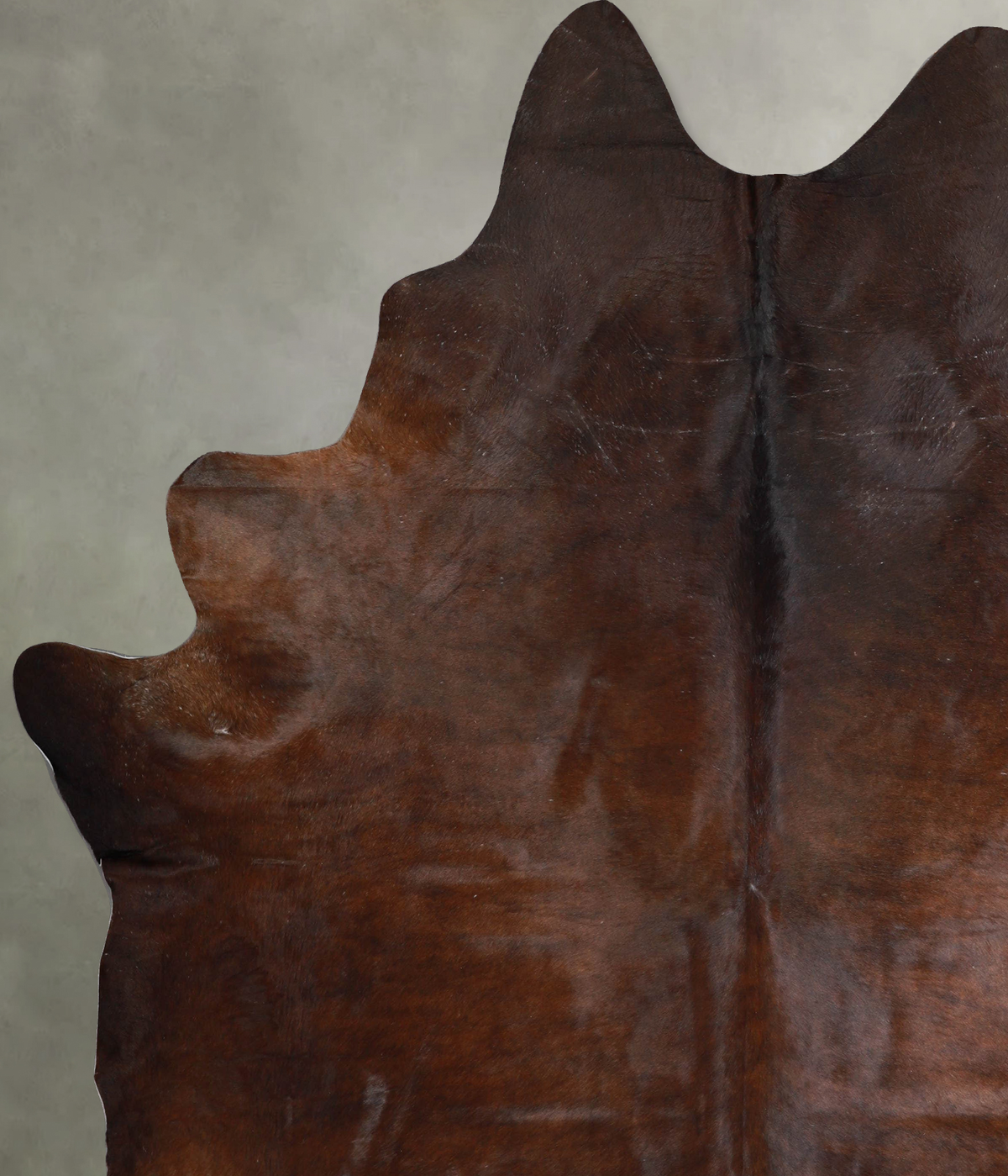Warm Caramel XX-Large Brazilian Cowhide Rug 8'9"H x 7'5"W #A53370 by Hudson Hides