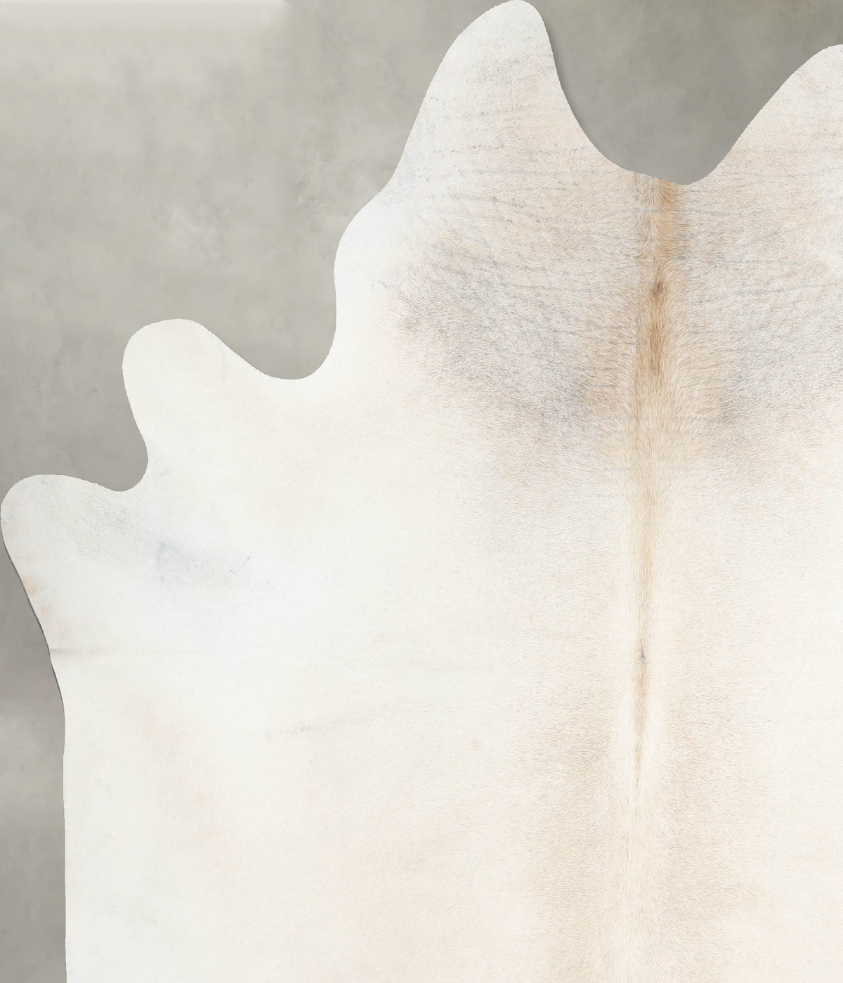 Ivory with Beige X-Large Brazilian Cowhide Rug 7'4"H x 6'3"W #A53372 by Hudson Hides