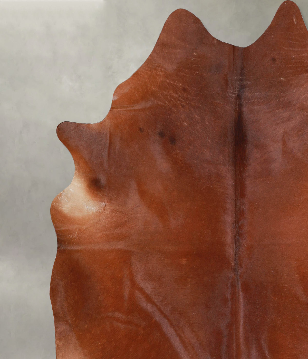 Solid Brown X-Large Brazilian Cowhide Rug 7'2"H x 6'11"W #A53378 by Hudson Hides