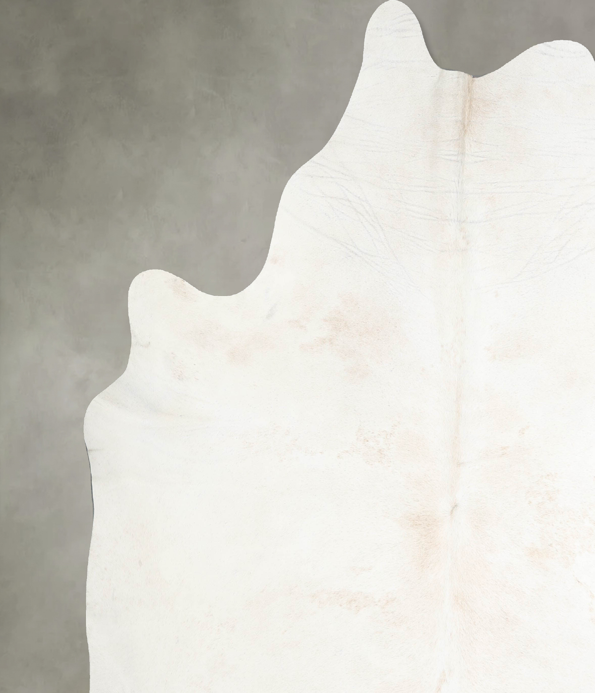 Ivory with Beige XX-Large Brazilian Cowhide Rug 8'0"H x 7'3"W #A53379 by Hudson Hides